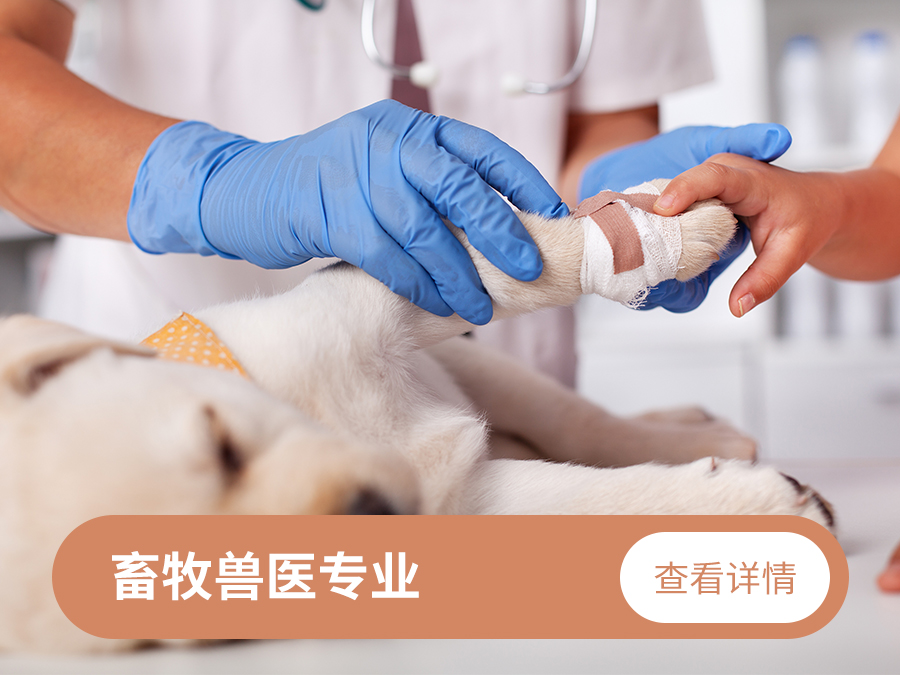畜牧獸醫專業